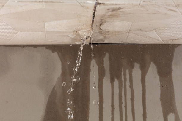 Professional Structural Drying technician working in Westerville, OH